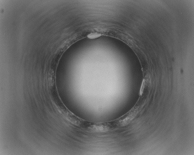 X0000067400464200604132001
