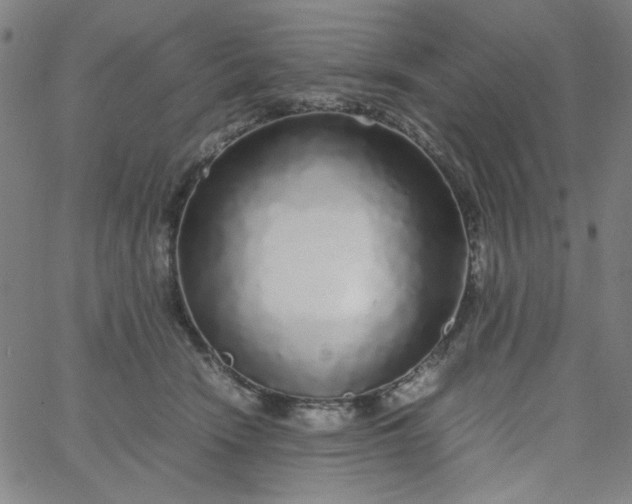 X0000067400466200604132001