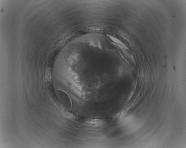 X0000067400467200604132001
