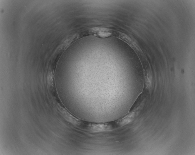 X0000067400473200604132001