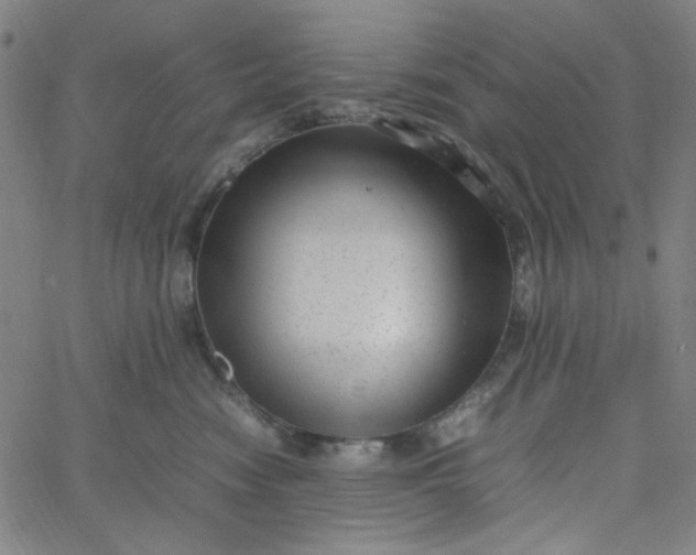 X0000067400474200604132001