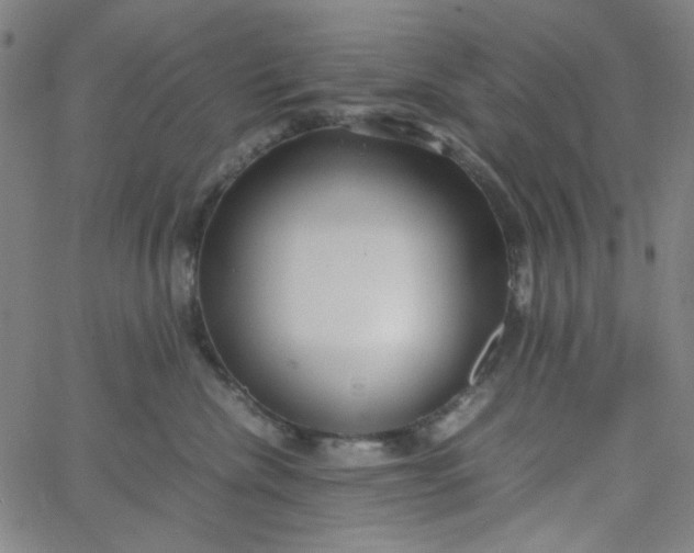 X0000067400476200604132001