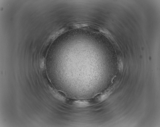 X0000067400477200604132001
