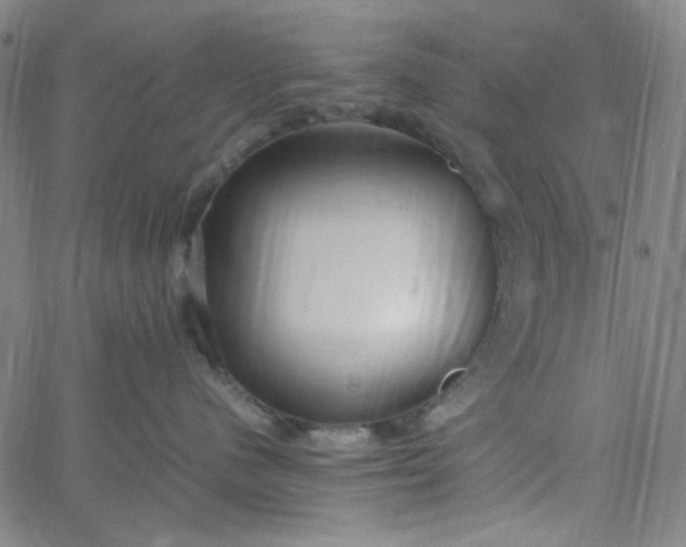 X0000067400480200604132001