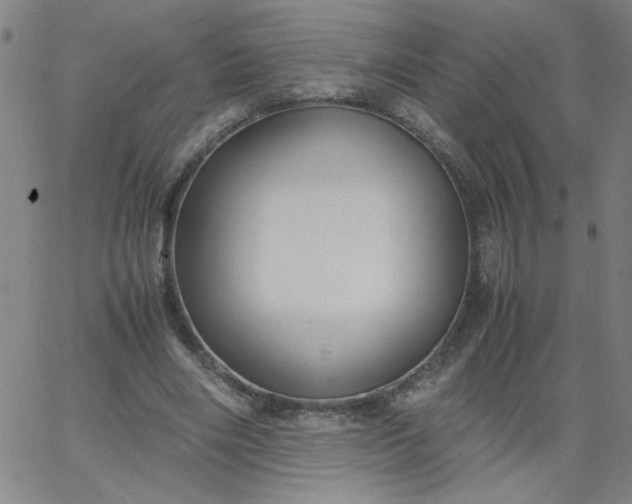 X0000067400490200604132000
