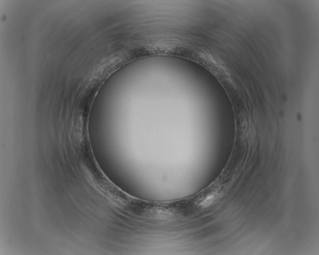 X0000067400498200604132000