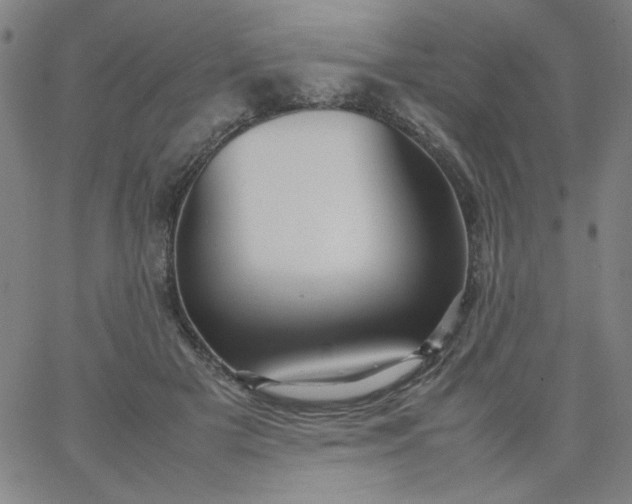 X0000067400505200604132000
