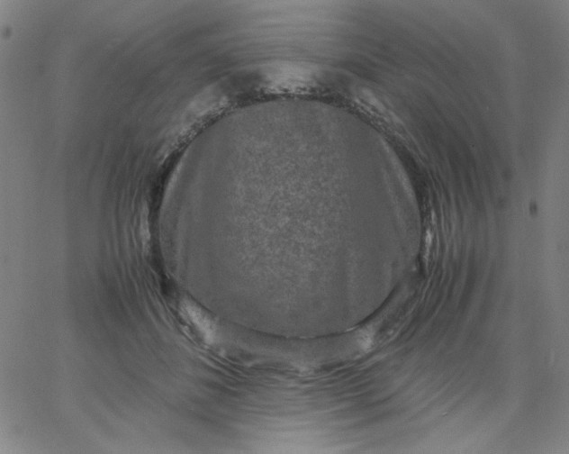 X0000067400508200604132000
