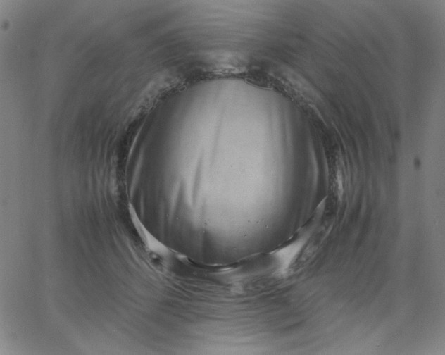 X0000067400512200604132000