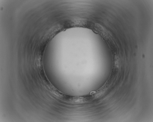 X0000067400514200604132000