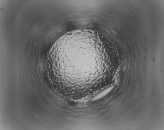 X0000067400515200604132000
