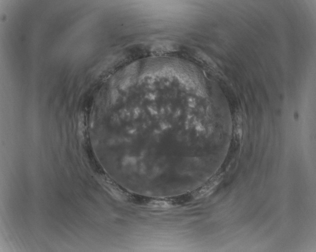 X0000067400519200604132000