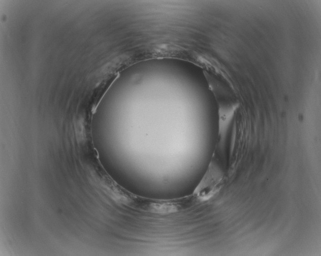 X0000067400520200604132000