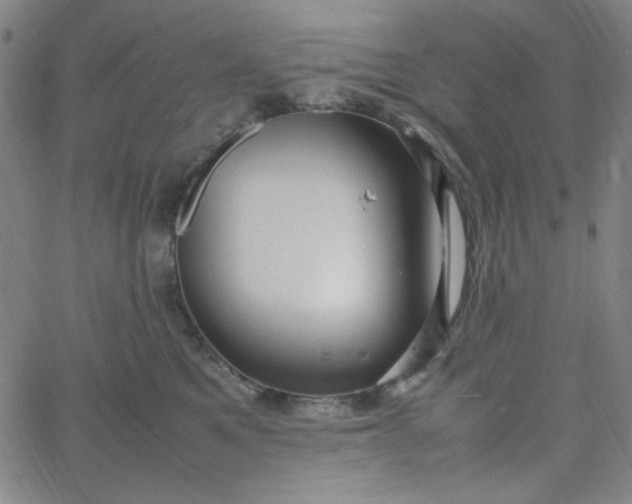 X0000067400521200604132000