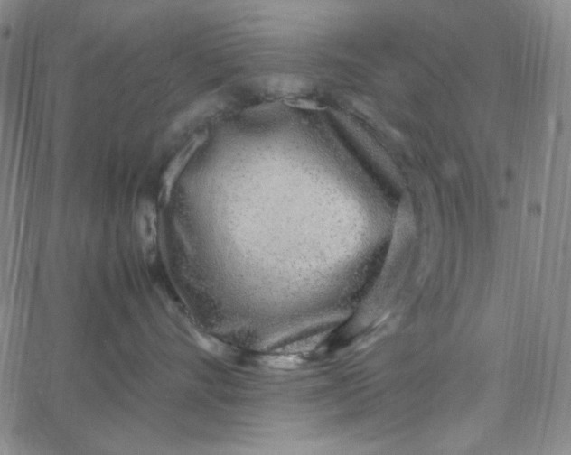 X0000067400528200604132000