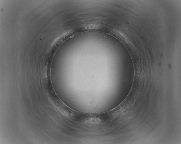X0000067400543200604131959