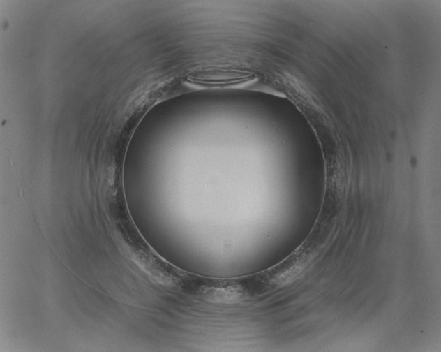 X0000067400548200604131959