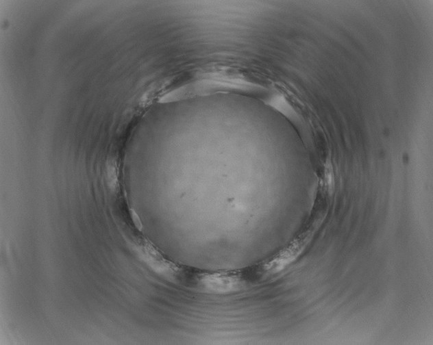 X0000067400568200604131959