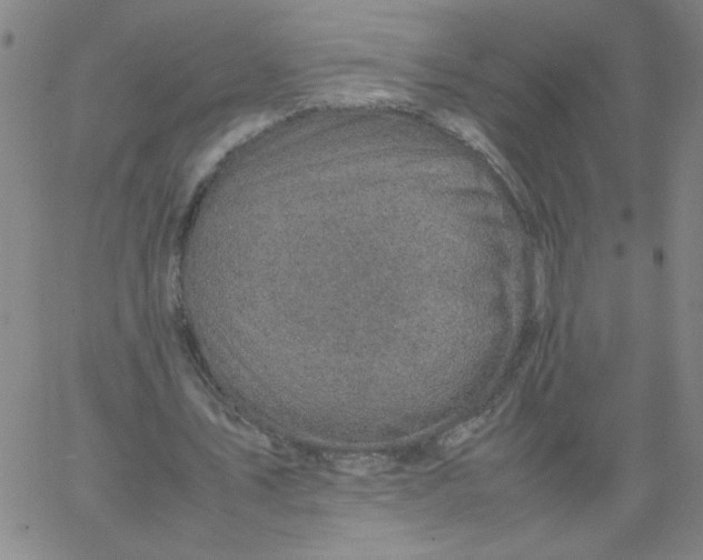 X0000067400579200604131959