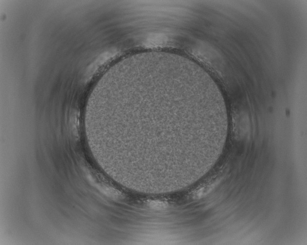 X0000067400592200604131959