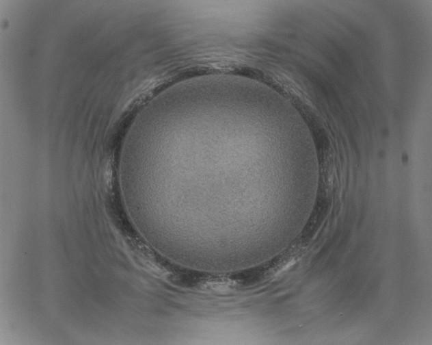X0000067400595200604131959