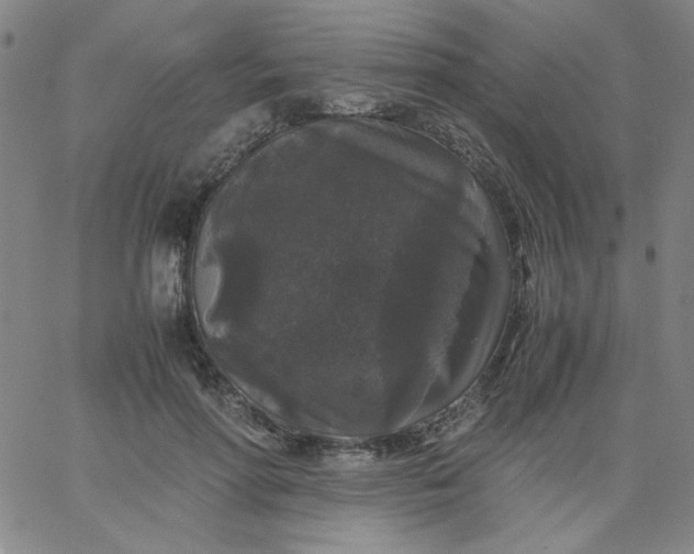 X0000067400598200604131958