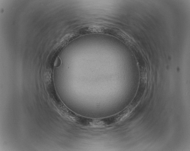 X0000067400603200604131958