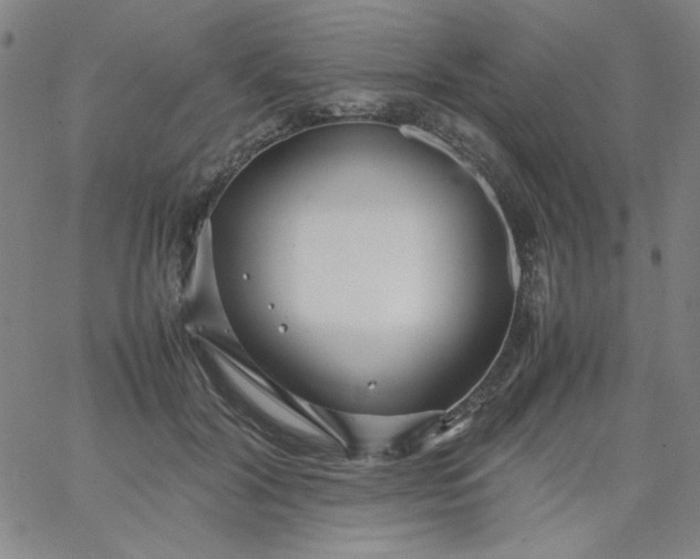 X0000067400604200604131958