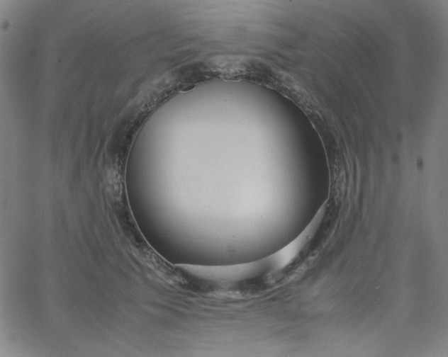 X0000067400609200604131958