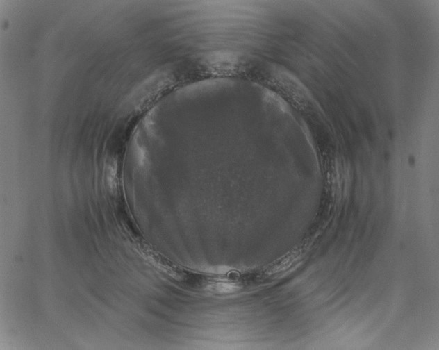 X0000067400610200604131958