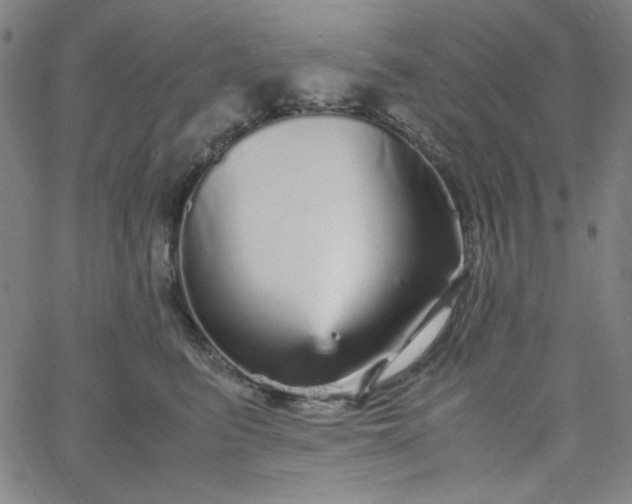 X0000067400615200604131958