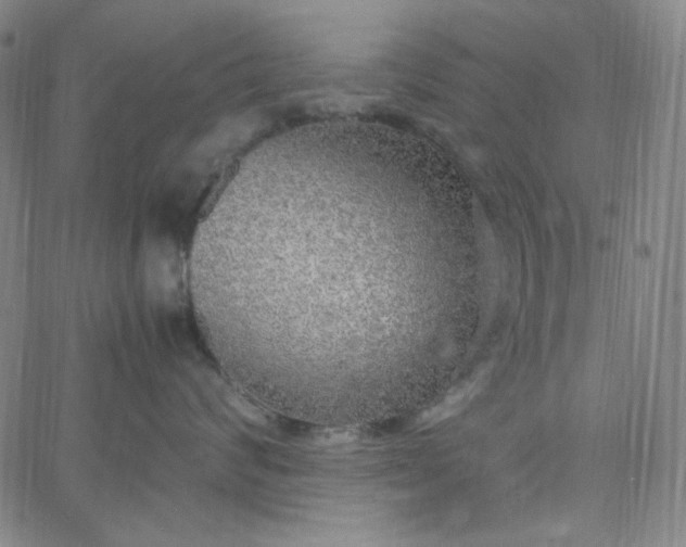 X0000067400624200604131958