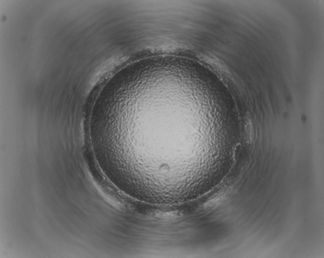 X0000067400638200604131957