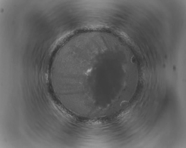 X0000067400640200604131958