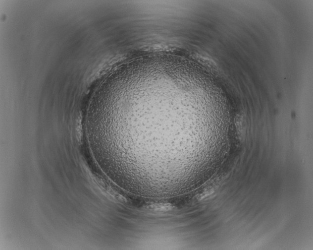 X0000067400642200604131958