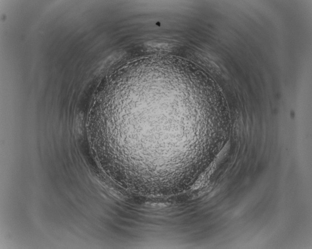 X0000067400649200604131958