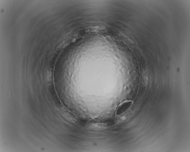 X0000067400657200604131958