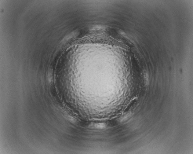 X0000067400665200604131958