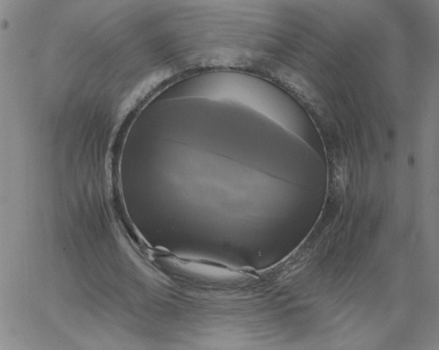 X0000067400678200604131957