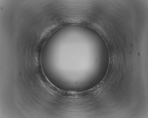 X0000067400688200604131957