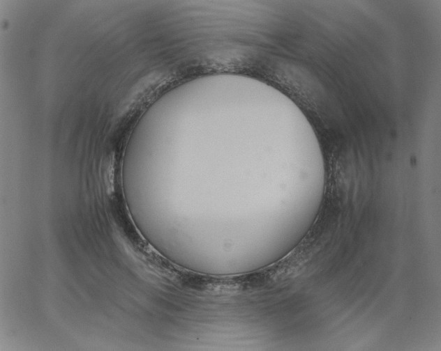 X0000067400694200604131957