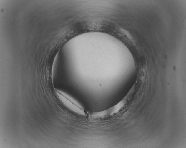 X0000067400697200604131957
