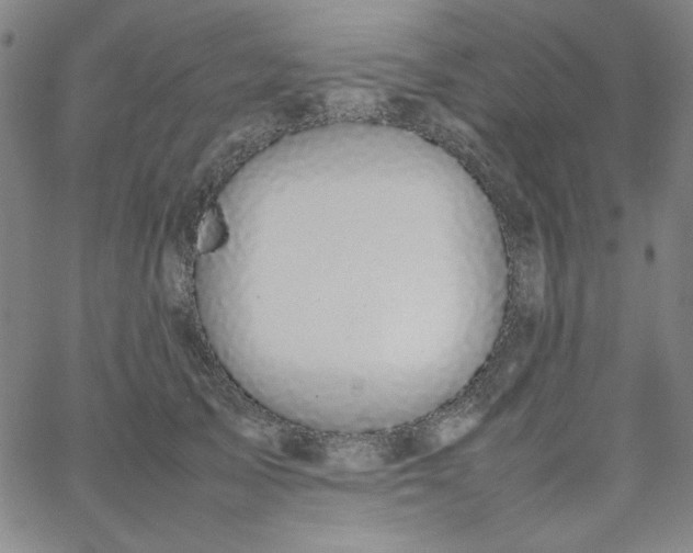X0000067400705200604131957