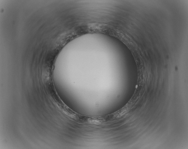 X0000067400706200604131957