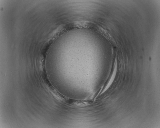 X0000067400712200604131957