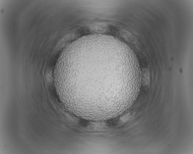 X0000067400713200604131957