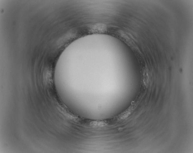 X0000067400714200604131957