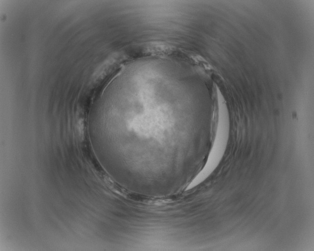 X0000067400716200604131957