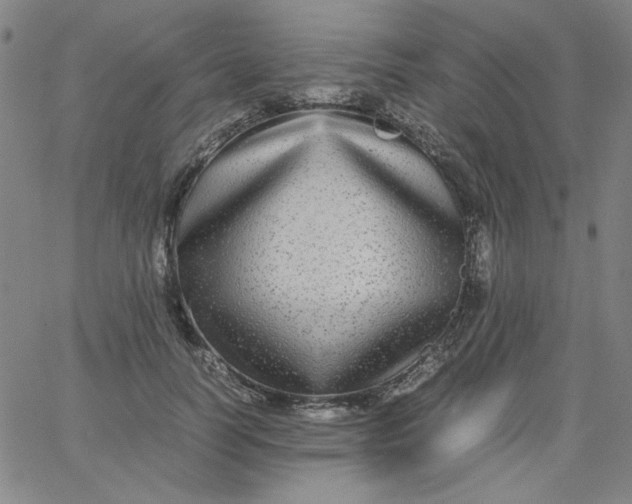X0000067400746200604131956