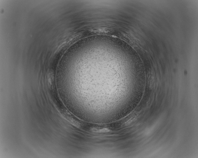 X0000067400747200604131956